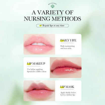 ALOE Moisturizing LIP BALM Hydrating (ORIGINAL)