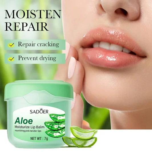 ALOE Moisturizing LIP BALM Hydrating (ORIGINAL)